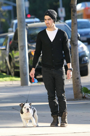 Joe+Jonas+carries+new+English+bulldog+puppy+SyUQYsFcy4ol