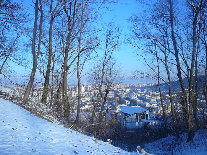 P1240051