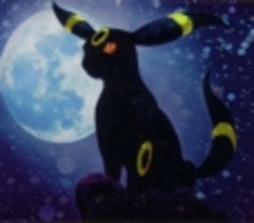 Umbreon[2] - album pentru themisspokemon