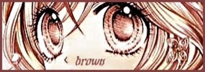 eqweqw - Colors