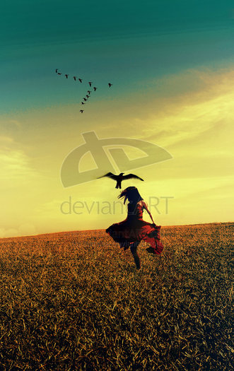 Birds__by_sumsae - Preferatele mele