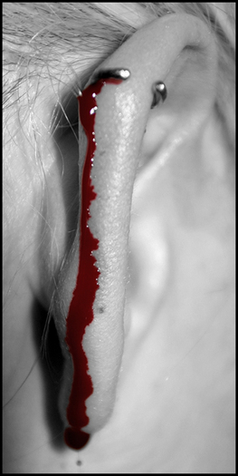 Drip_Drop_by_buttonnose - Preferatele mele