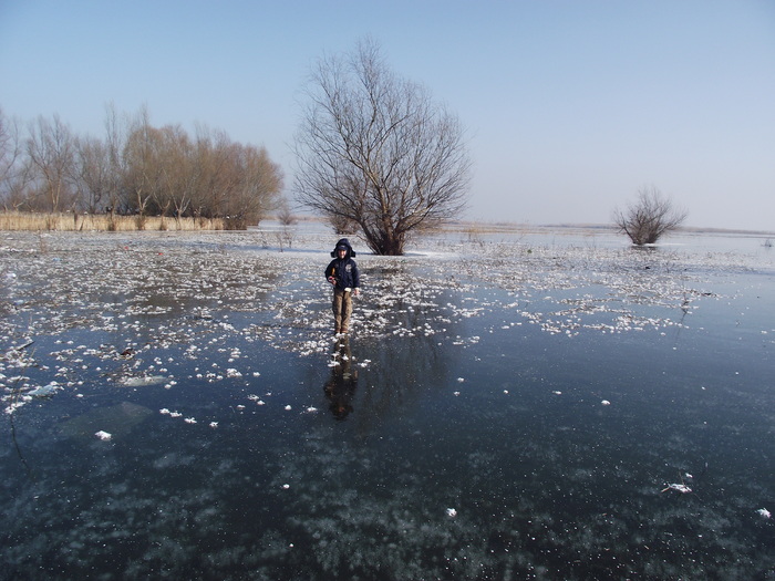 pe gheata - somova delta dunarii foto