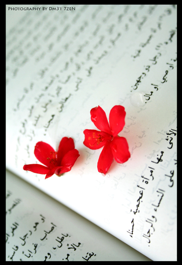 lovely_book_by_Dm3t_7zen - My poems
