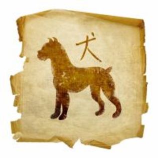 Caine - Zodiac Chinezesc