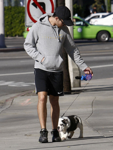 Joe+Jonas+Joe+Jonas+Walking+Dog+West+Hollywood+gsFa0hOv_nAl - Joe Jonas Walking His Dog In West Hollywood