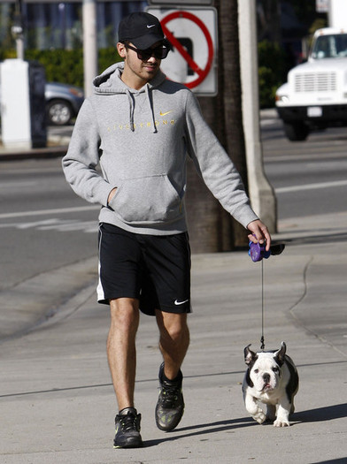 Joe+Jonas+Joe+Jonas+Walking+Dog+West+Hollywood+SCm5wFuA0dll - Joe Jonas Walking His Dog In West Hollywood