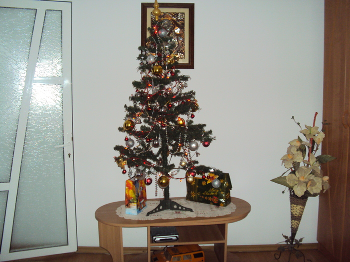 DSC06008