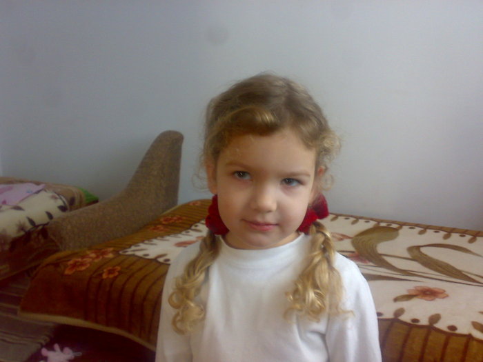 29122010095