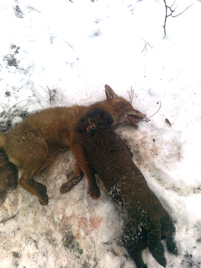 Aga-As Von Hertelend - Aga-As Von Hertelend