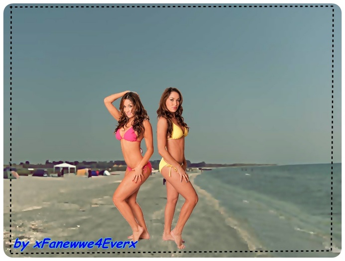 He.hE!:]] - x-Brie and Nikki la MARE poze edit de noi-x