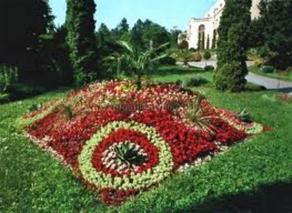 cluj gradina botanica - Peisaje frumoase din Romania