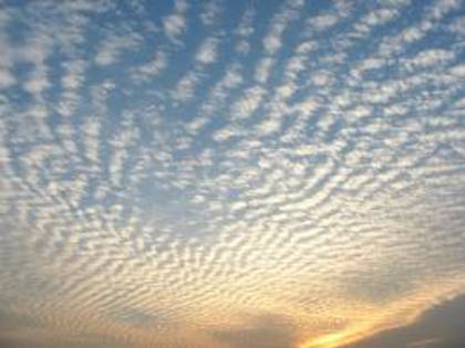 cirrocumulus