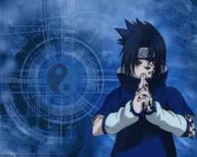 imagesCASIYAXU - SASUKE