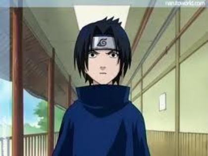 imagesCAXN1FTQ - SASUKE