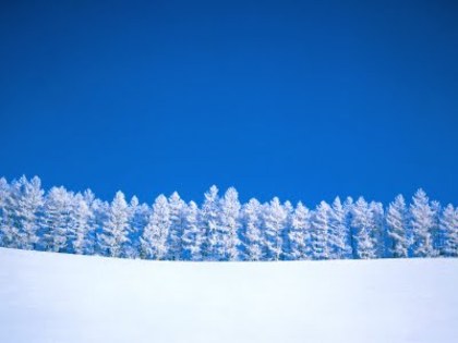 38 - peisaje de iarna