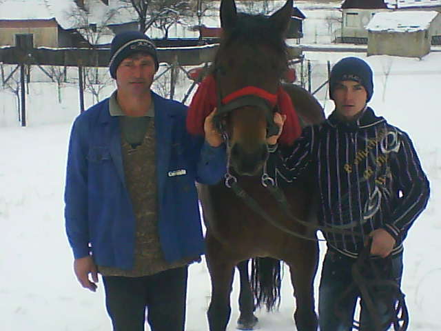 Picture 152 - calul meu