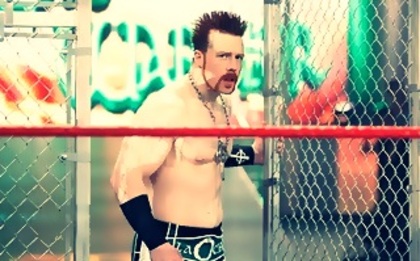 Randy_Orton_vs__Sheamus_Hell_In_A_Cell