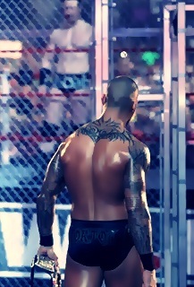 Randy_Orton_vs__Sheamus_Hell_In_A_Cell1 - x-Hell in a cell 2010-Randy vs Sheamus-x