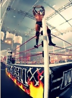 Randy_Orton_vs__Sheamus_Hell_In_A_Cell2 - x-Hell in a cell 2010-Randy vs Sheamus-x