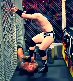 Randy_Orton_vs__Sheamus_Hell_In_A_Cell7