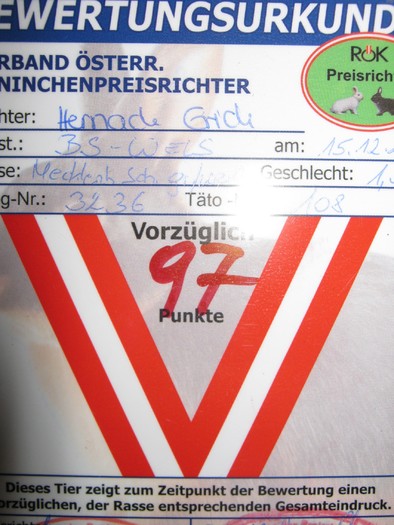 M-Wels-2010 081 - expo Wels-2010-Austria