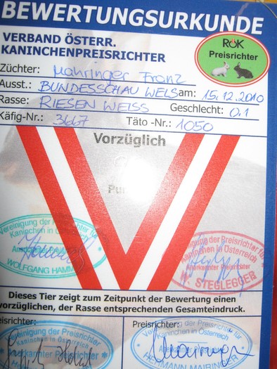 M-Wels-2010 166 - expo Wels-2010-Austria