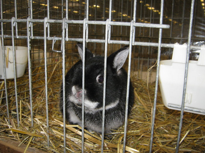 M-Wels-2010 188
