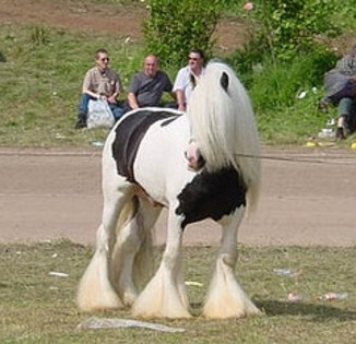 3163732303_757c269baa_m