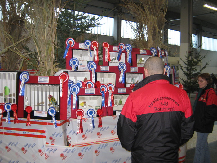 M-Wels-2010 154 - expo Wels-2010-Austria