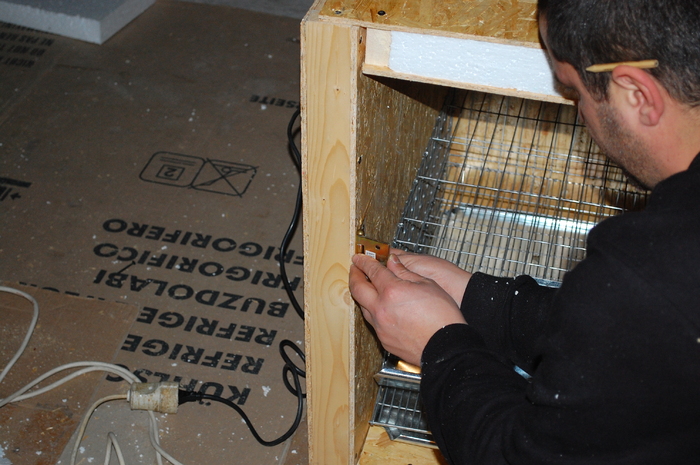 DSC_3001 - 992 Cutie pt prepelite