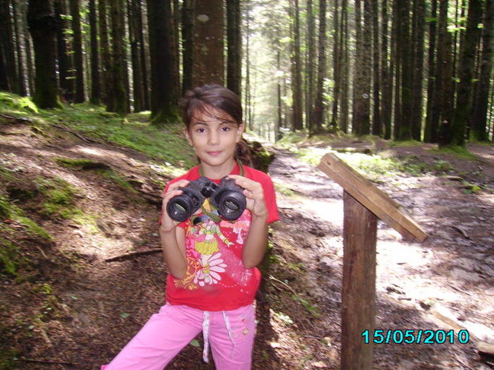Picture 027