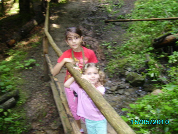 Picture 031