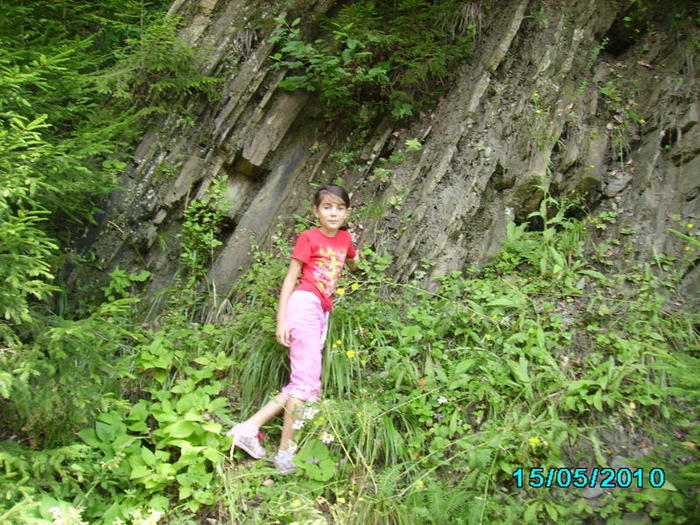 Picture 037