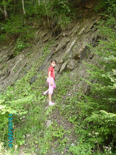 Picture 039