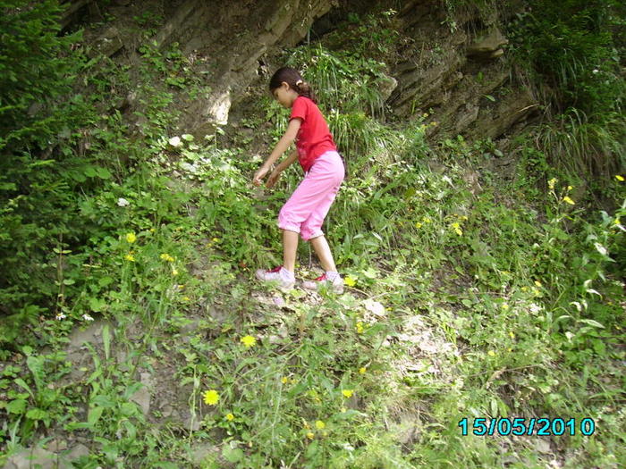 Picture 040