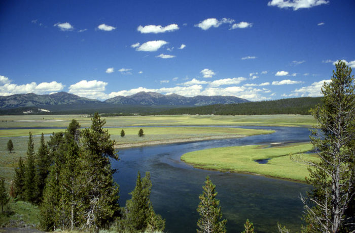 yellowstone1