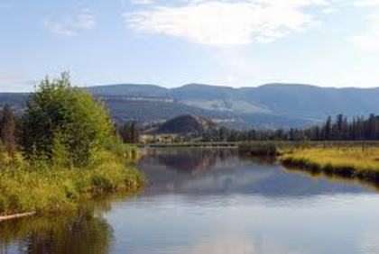 yellowstone-summer