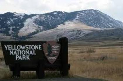 yellowstone8 - Yellowstone