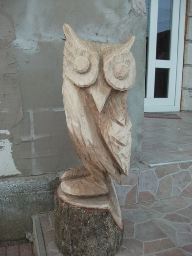 DSCF4411 - sculptura cu drujba