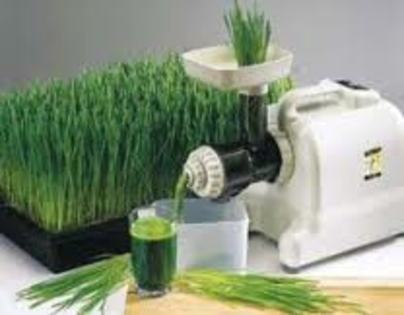 Wheatgrass juicer @ juice - Wheatgrass