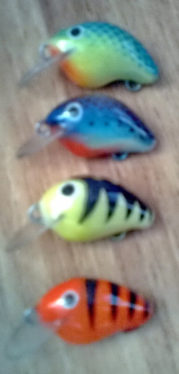 bibici pt clenoci - cu gandul la pescuit