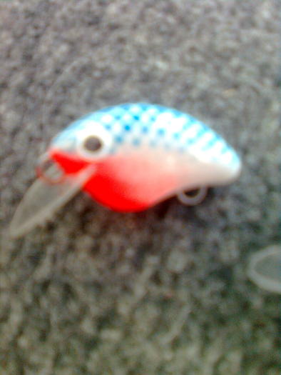 tot bibic - cu gandul la pescuit