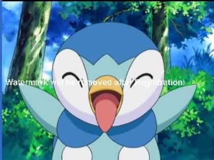 14 - Pokemon Piplup