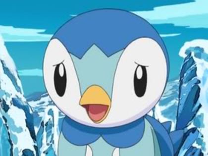 17 - Pokemon Piplup