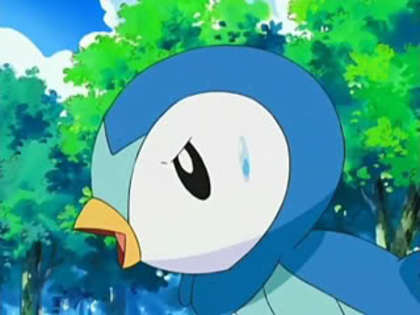 35 - Pokemon Piplup