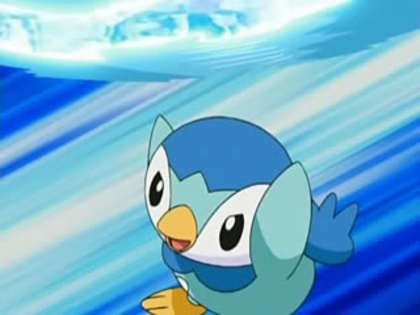 42 - Pokemon Piplup