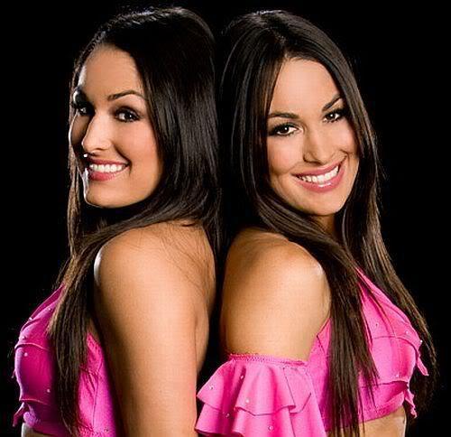 Bella Twins (8) - Wrestling