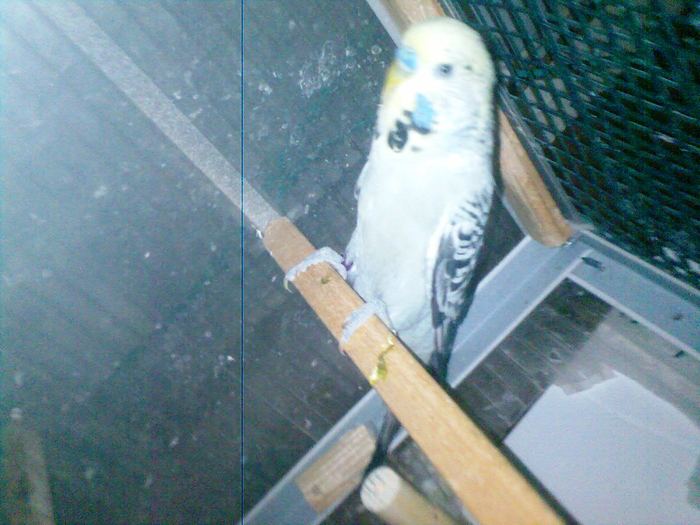 Imag072