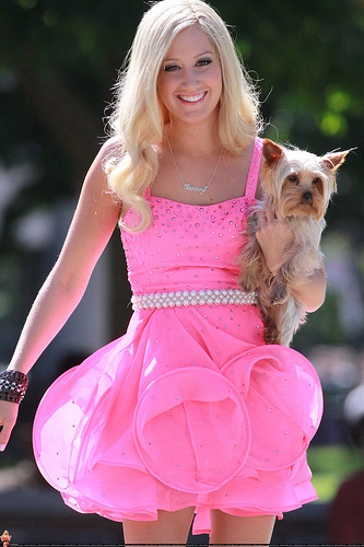 26279540_ERPYBSNGV - poze Ashly Tisdale